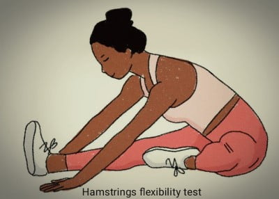 hams flexibility test