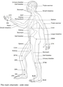 Dry Needling vs Acupuncture: Learn The Difference! - physiociti